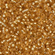 Miyuki seed beads 11/0 - Matted silver lined dark gold 11-4F